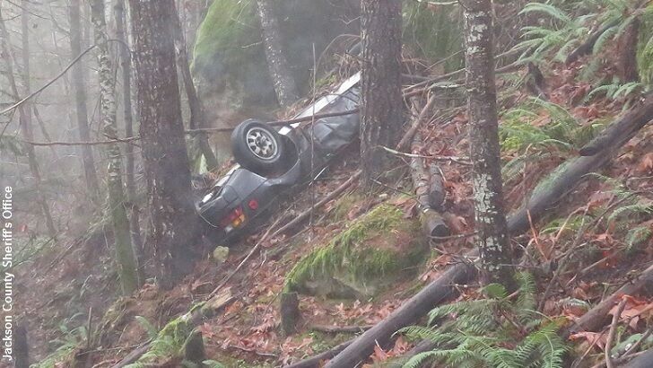 Car Stolen in 1991 Found in Forest
