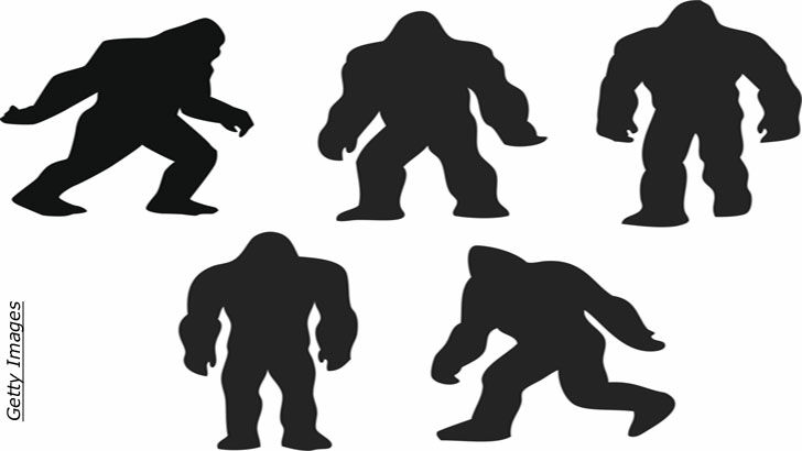 Terrifying Bigfoot Encounters / The Quantum Reality Problem