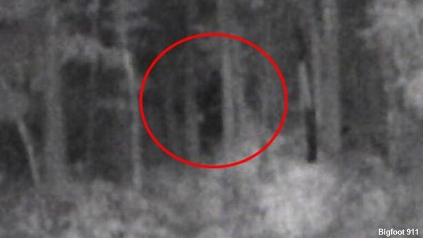 Bigfoot Photographed in North Carolina? | Coast to Coast AM