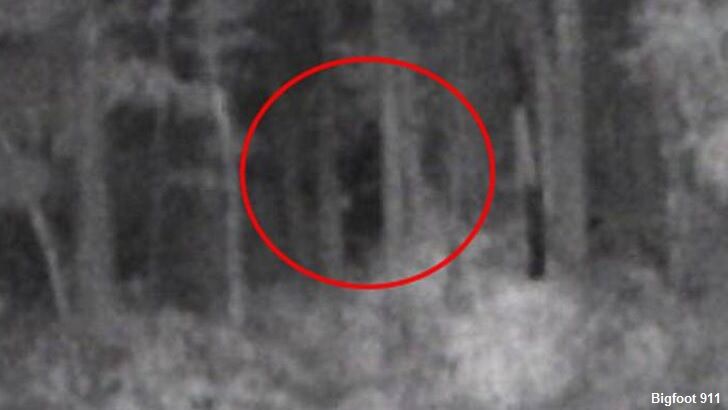 Bigfoot Photographed in North Carolina?