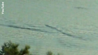 Video: Canadian Monster Sighting?