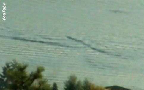 Video: Canadian Monster Sighting?