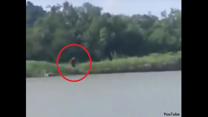 Watch: 'Dog Man' Filmed in Texas?