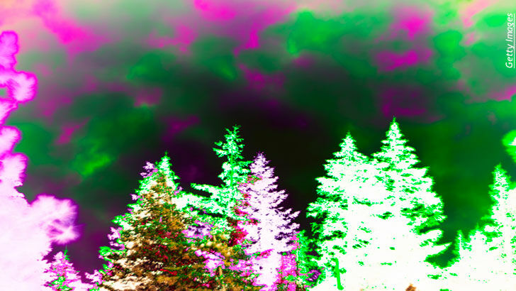 Alternative Health/ Magical Plants & Witchcraft