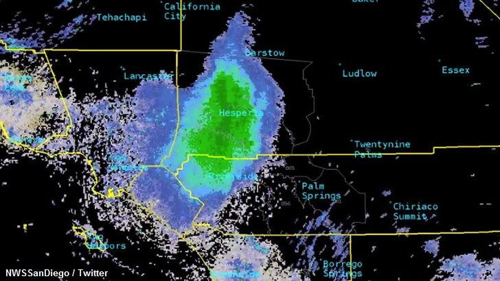 Huge Ladybug Swarm Appears on Radar