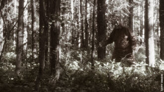 Bigfoot Folklore & Forensics