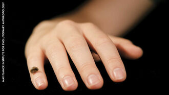 Genome Brings Ancient Girl to Life