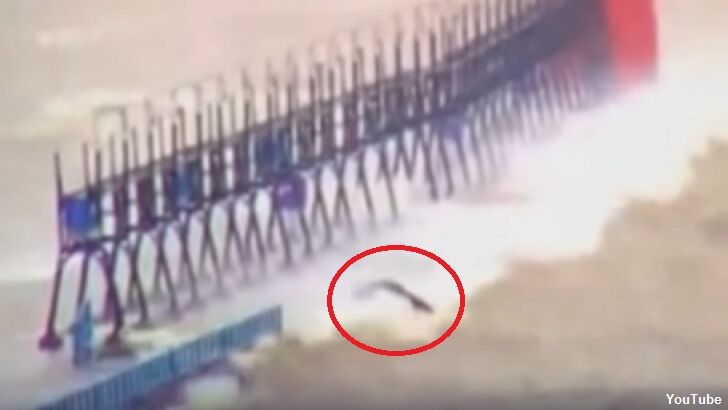 Watch: Weird Creature Appears on Lake Michigan Webcam