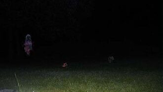 Recent Ghost Photos