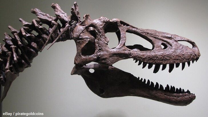 Paleontologists Decry Baby Tyrannosaurus Rex eBay Auction