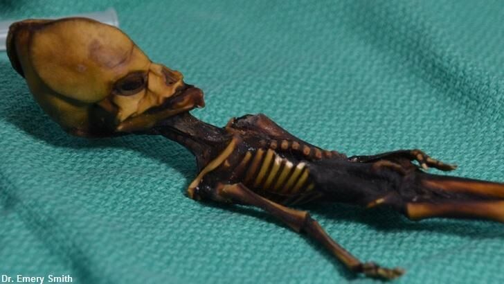 Paper Slams 'Alien' Mummy Study