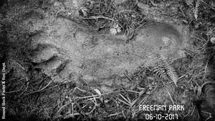 Bigfoot Prints Found in TX?