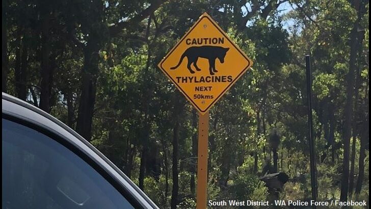 Prankster's 'Thylacine Warning' Sign Amuses Drivers in Australia