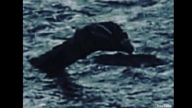 Tour Guide Photographs Nessie?