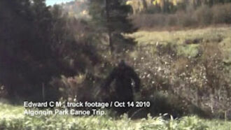 Algonquin Park Bigfoot