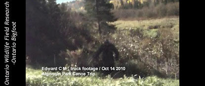 Algonquin Park Bigfoot