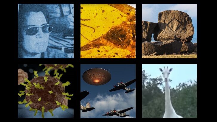 In Coast You Missed It 3/13/20