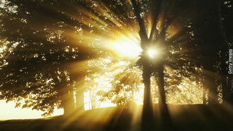 Human Enlightenment/ Miracles & Apparitions