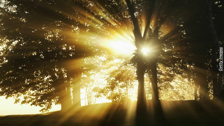 Human Enlightenment/ Miracles & Apparitions