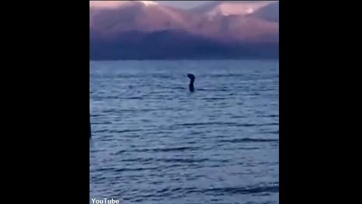 Watch: Odd 'Lake Monster' Filmed in Albania