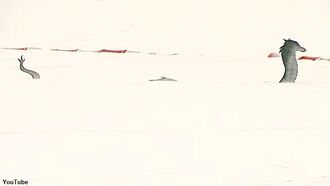 Video: 'Lake Monster' Spotted in Colorado