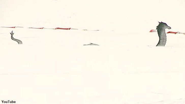 Video: 'Lake Monster' Spotted in Colorado