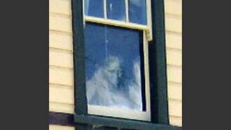 New Zealand Window Ghost