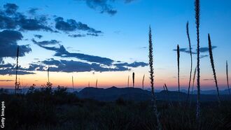 Could Gas Pipeline Extinguish the Marfa Lights?