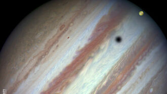 Jupiter Moon Crossing