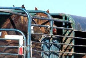 Knapp's News 8/29/10