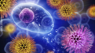 Warning: You're Probably Washing Your Hands Wrong