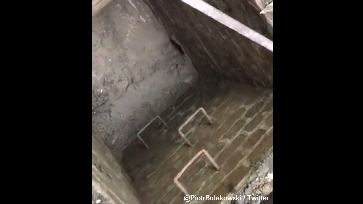 Latest Amber Room Search is a Bust