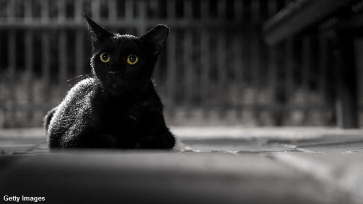 Black Cats Keep Mysteriously Vanishing in England | Coast to Coast AM