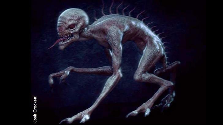 Farmer Points to Chupacabra as Culprit Behind Cattle Attacks