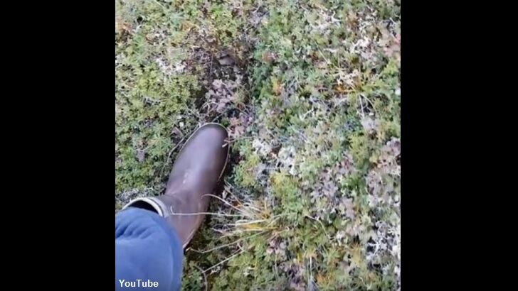 Watch: Odd 'Footprints' Found in Forest