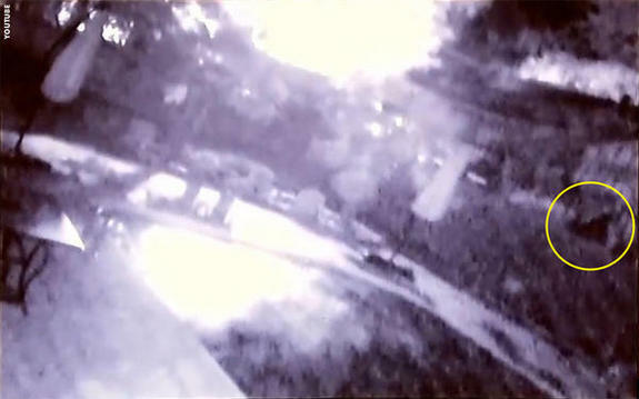 Video: Bigfoot Raiding Garden | Coast to Coast AM