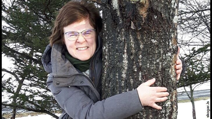 Icelandic Forestry Service Suggests Hugging Trees to Combat Social Isolation