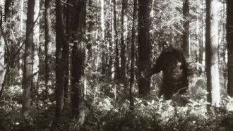 Dark Side of Bigfoot