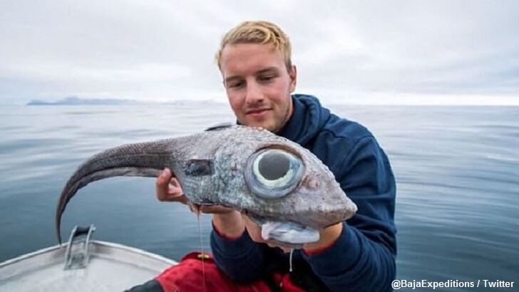 Norwegian Man Snags Eye-Catching Fish