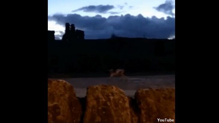 Phantom Dog Filmed in England?