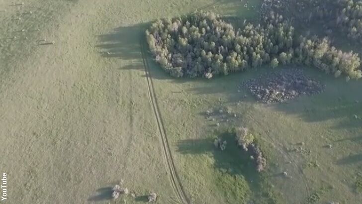 Watch: Running Bigfoot Filmed by Drone?