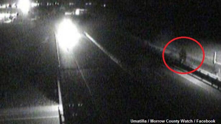 Bigfoot Spotted on Highway Traffic Cam?
