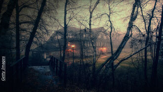 Horsefly Haunting Case