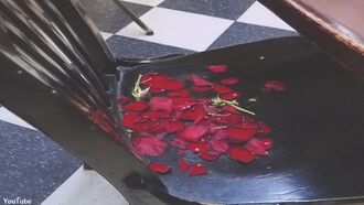 Video: Virgin Mary Leaves Rose Petals at Troubled Texas Restaurant?