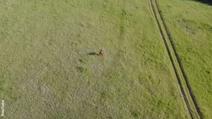'Bigfoot' Drone Video Revealed to be a Hoax