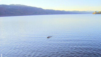 New Nessie Proof?