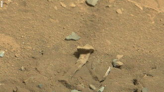 Alien Thigh Bone on Mars?