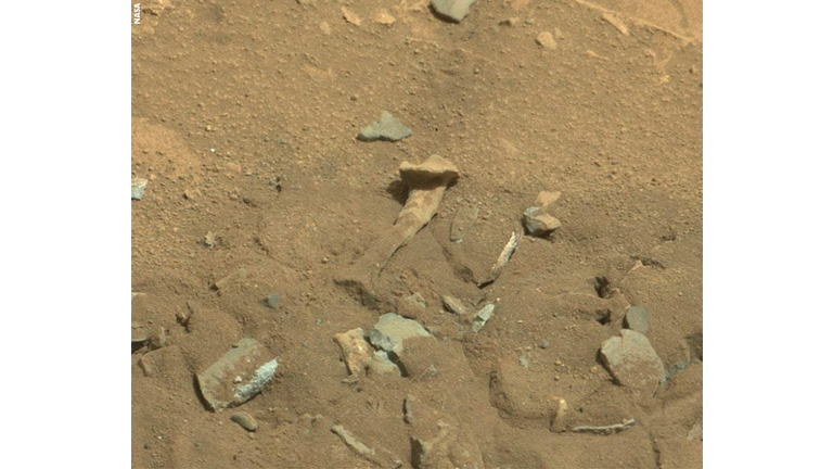 Alien Thigh Bone on Mars?