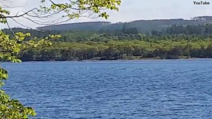 Tourist Films Tantalizing Formation at Loch Ness