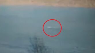 Webcam Watcher Spots Nessie Again